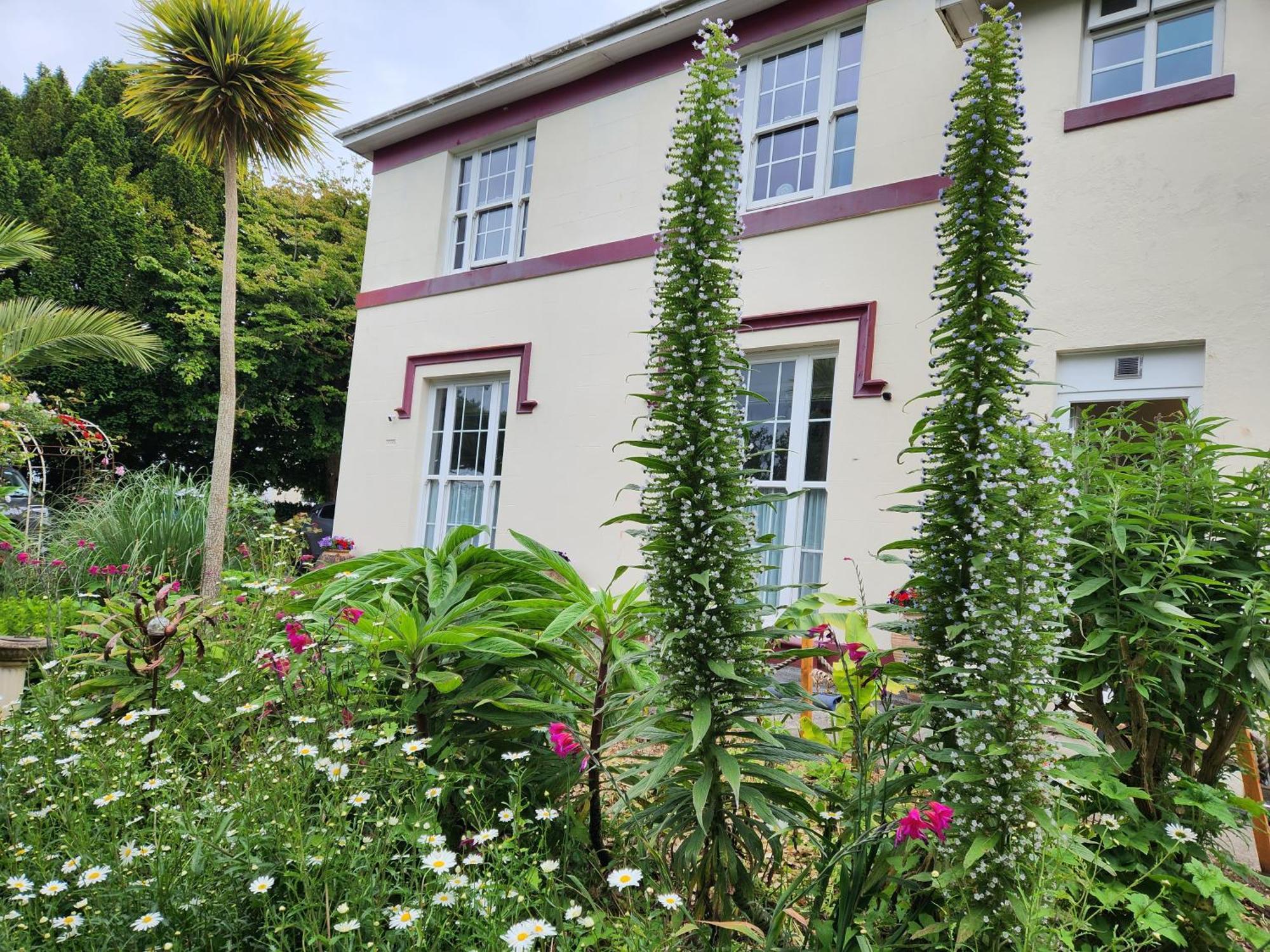 Rose Court Holiday Apartments Torquay Exterior photo